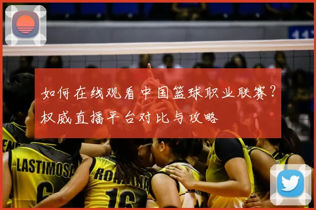 如何在线观看中国篮球职业联赛？权威直播平台对比与攻略