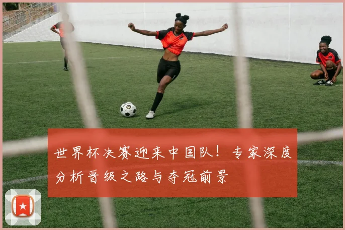 世界杯决赛迎来中国队！专家深度分析晋级之路与夺冠前景