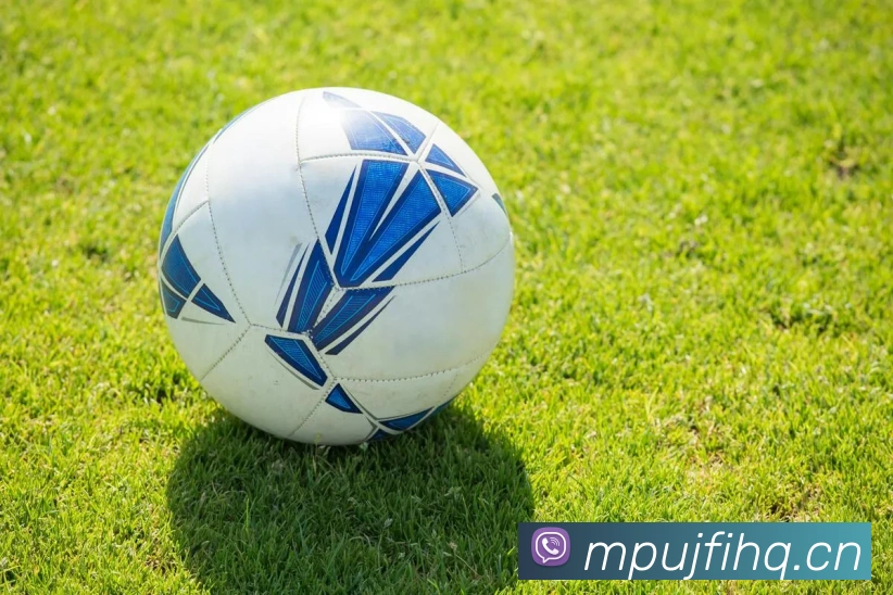 StarSky Sports平台生态图